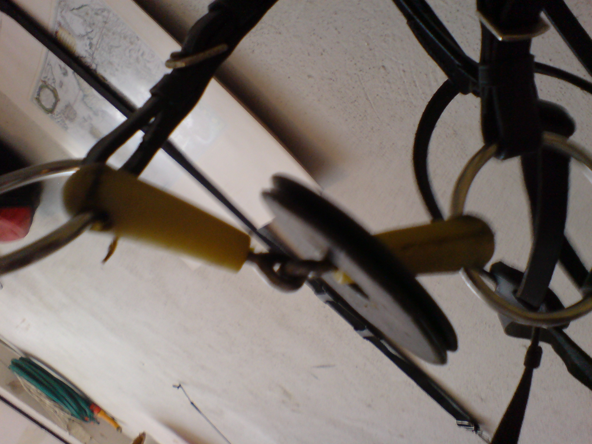 DSC00229.JPG