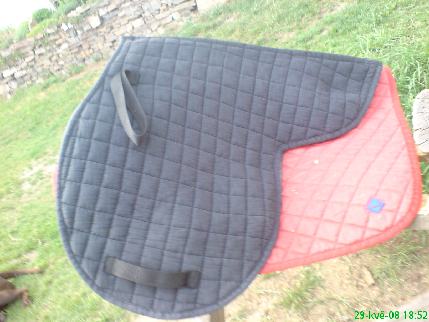 DSC00167.JPG